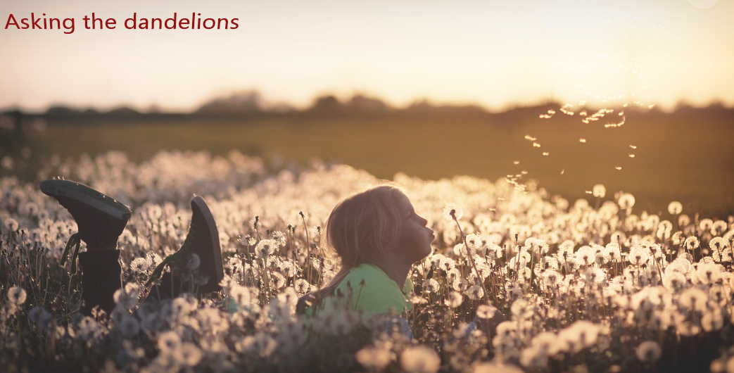 Young girl blowing dandelion head 